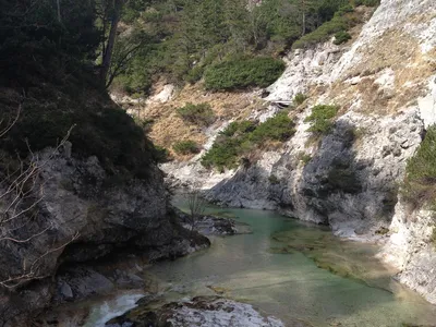 Natur