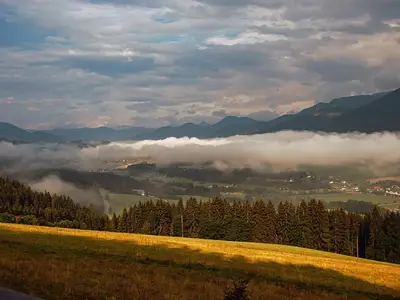 Ausblick