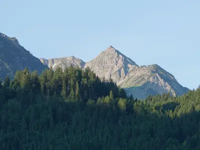 Blick_7