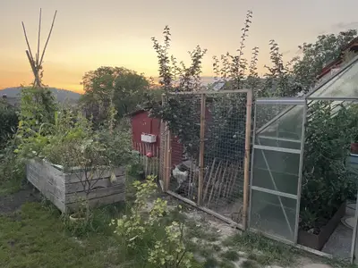 Sicht Garten/Hühnerstall/Gewächshaus