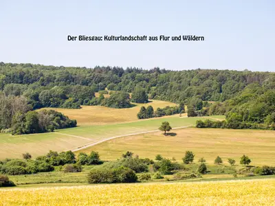 Bliesgau-Landschaft