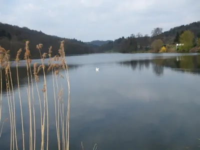 Bilder Niederwürzbach Weiher 2