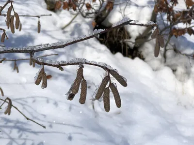 Winter Landschaft 2
