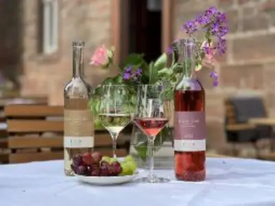 Hauswein