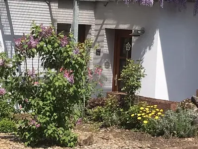 Frühling direkt vor der Tür