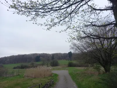 Hinter dem Haus Parkplätze
