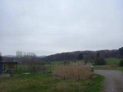 Hinter dem Haus