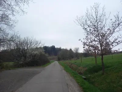 Umgebung