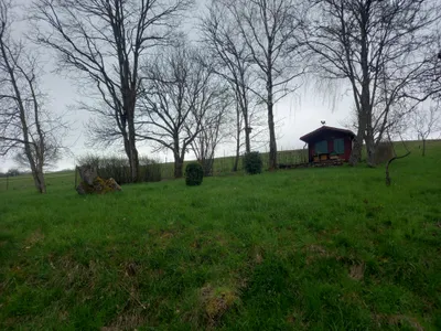 Umgebung