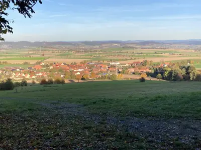 Blick vom Waldrand