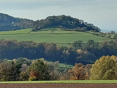 Kühl