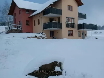 Winter am Hammenof