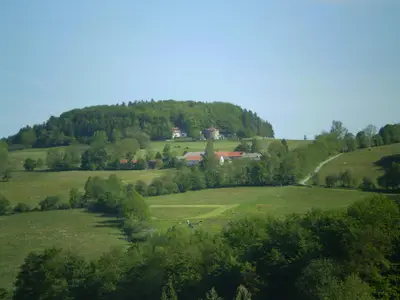 Blick zur Maulkuppe