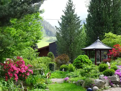 Blick in den Garten