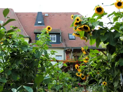 Haus außen hinten