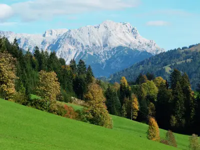 Aussicht vom Elsbichlhof