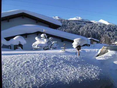 Garten im Winter