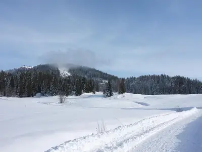 Winterwandern