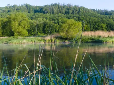 20210530_Weser