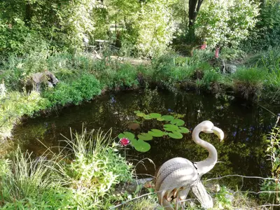 Teich