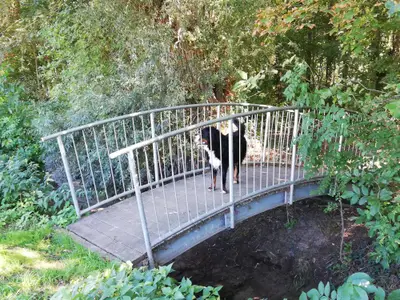 Brücke