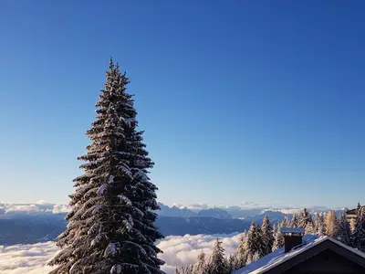 Ausblick 3