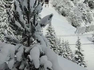 IMG20231126104156