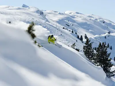 Wintertraum