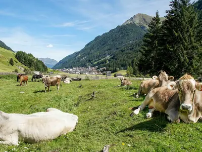 landschaft-ischgl
