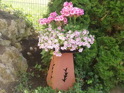 Gartenanlage