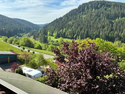 Ferienwohnung für 3 Personen (42 m²) in Baiersbronn 4/10