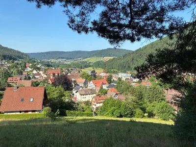 Ferienwohnung für 3 Personen (42 m²) in Baiersbronn 9/10