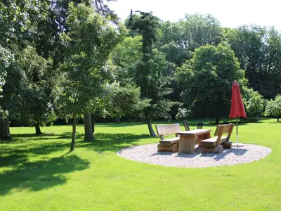 Ferienwohnung für 3 Personen (40 m²) in Giddendorf 8/10