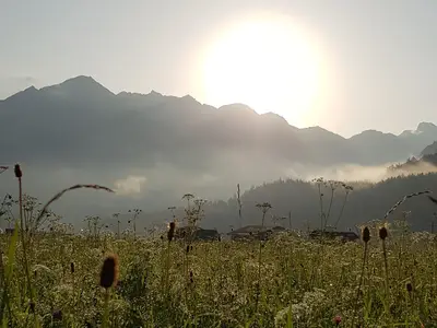 Sonnenaufgang über der Wiese