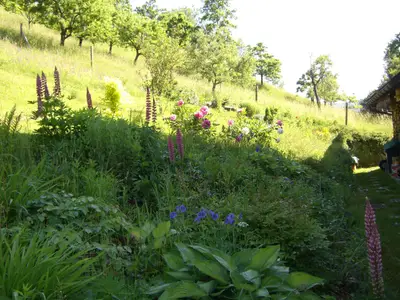 Hausgarten
