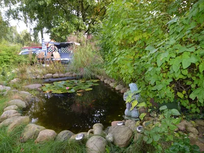 GardenSummer
