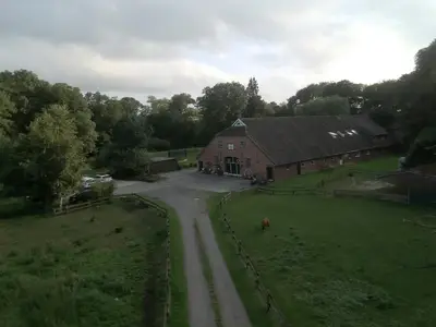 ViewSummer