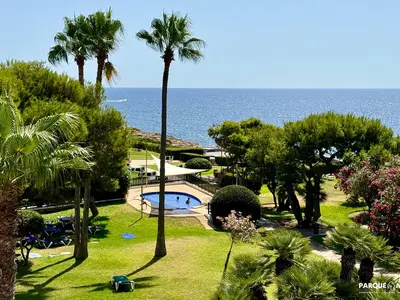 ViewSummer