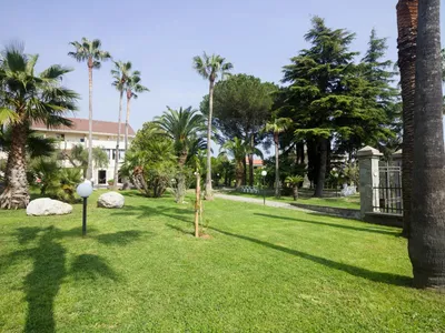 GardenSummer