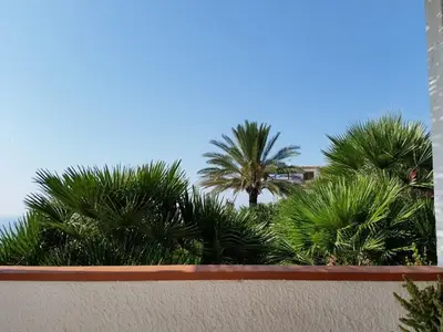 ViewSummer