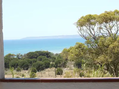 ViewSummer