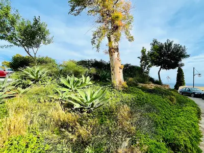 GardenSummer