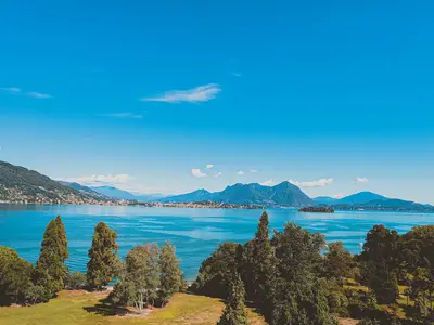 ViewSummer