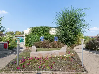 GardenSummer