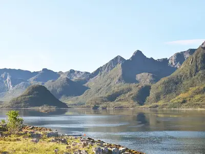 View