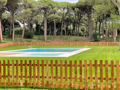 ViewSummer