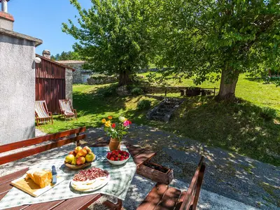 Ferienwohnung für 4 Personen (40 m²) in Kozljak 1/10