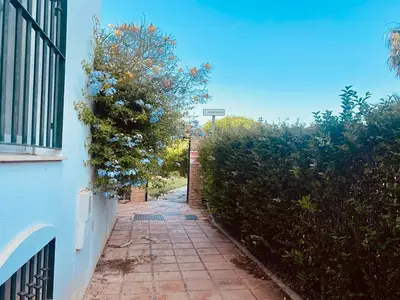 ExteriorSummer
