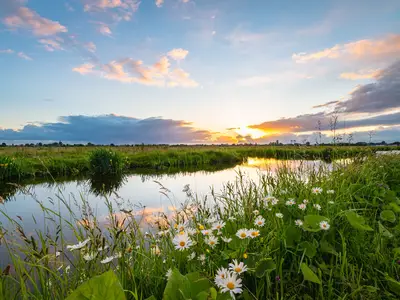 Landschaft