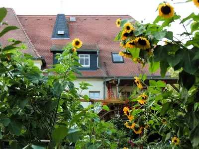 Ferienwohnung für 4 Personen (54 m²) in Lossatal 8/10